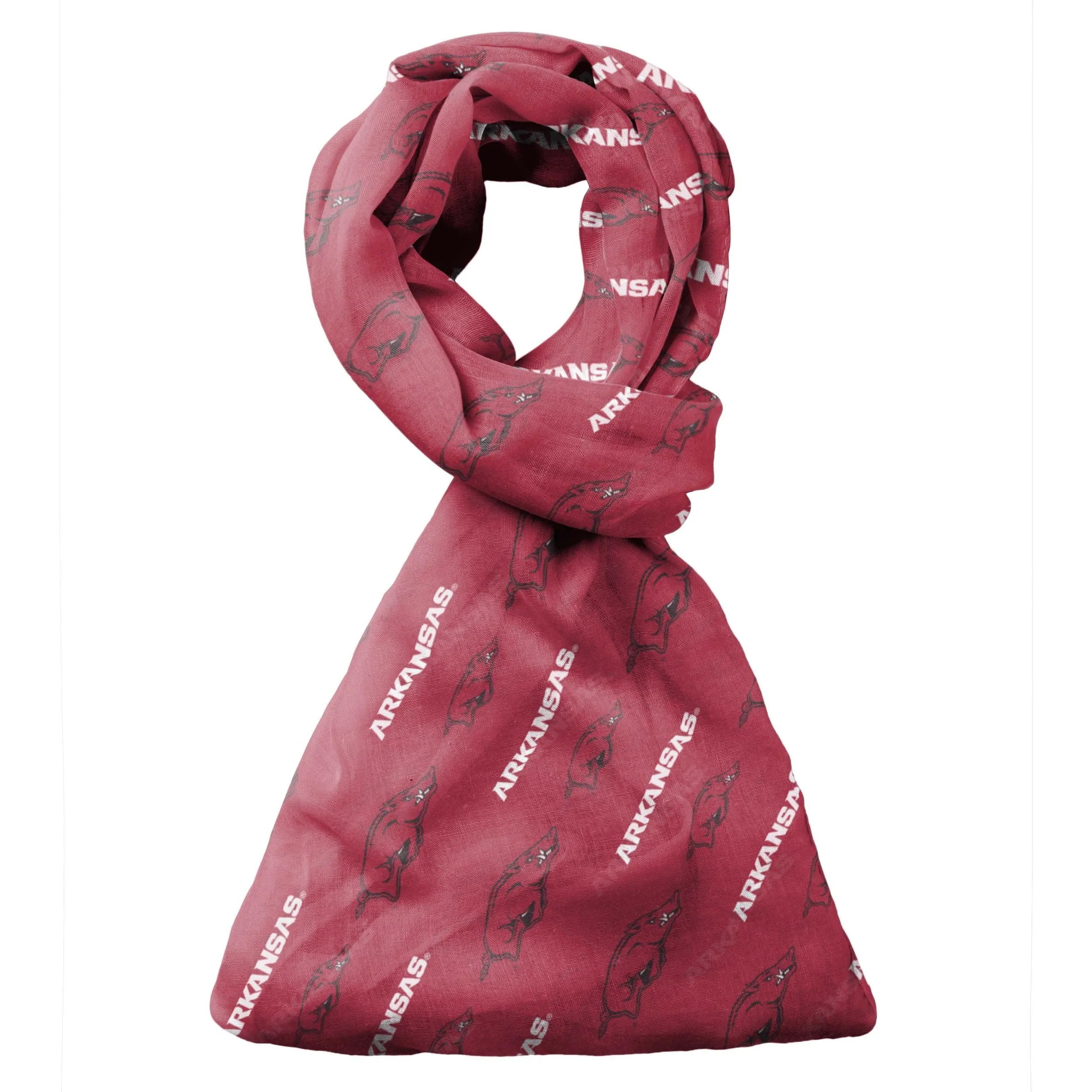 Arkansas Team Logo NCAA Infinity Scarf