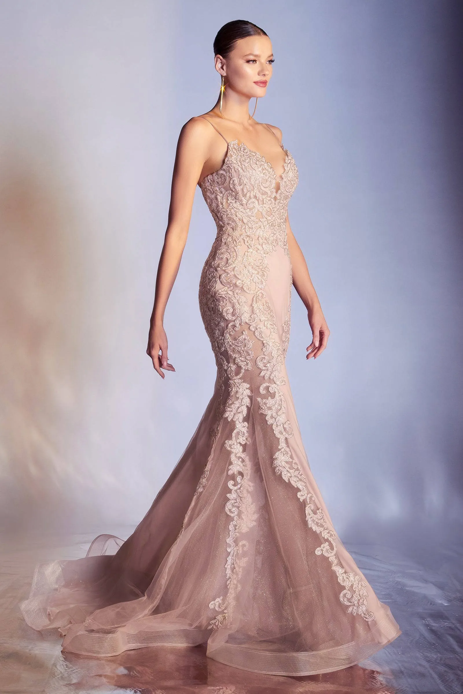 Elegant Mermaid Style Gown with Embroidered Bodice and Deep Neckline Ladivine CD945